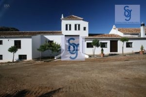 imgi 11 property 50117 303