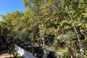property 191390 323 (1)